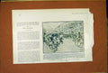 Original Old Antique Print King Belgian Assasination Attempt Ditilleux 1902