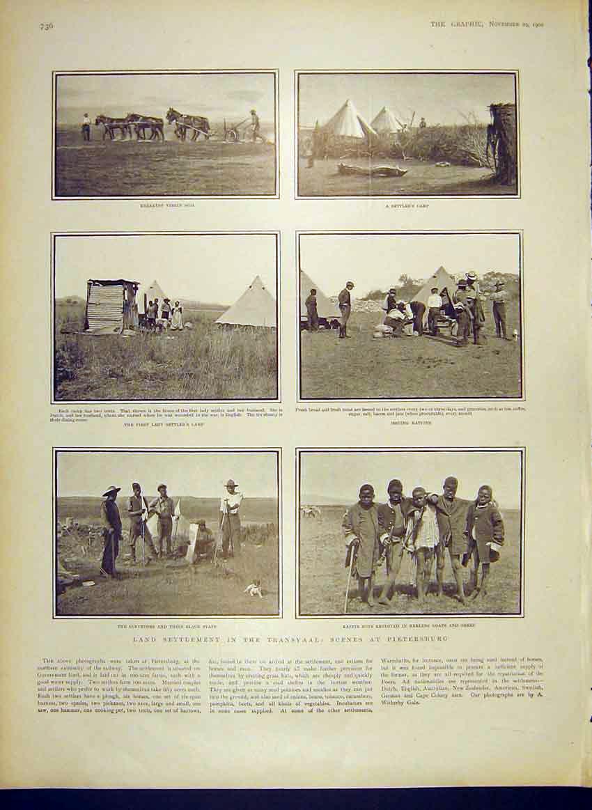 Original Old Antique Print Transvaal Land Settlement Pietersburg Settlers 1902