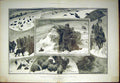 Original Old Antique Print Grouse Driving Snow Charlton Shooting Sheep 1902
