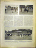 Original Old Antique Print Horse Race Eclipse Stakes Sandown Ard Patrick 1903