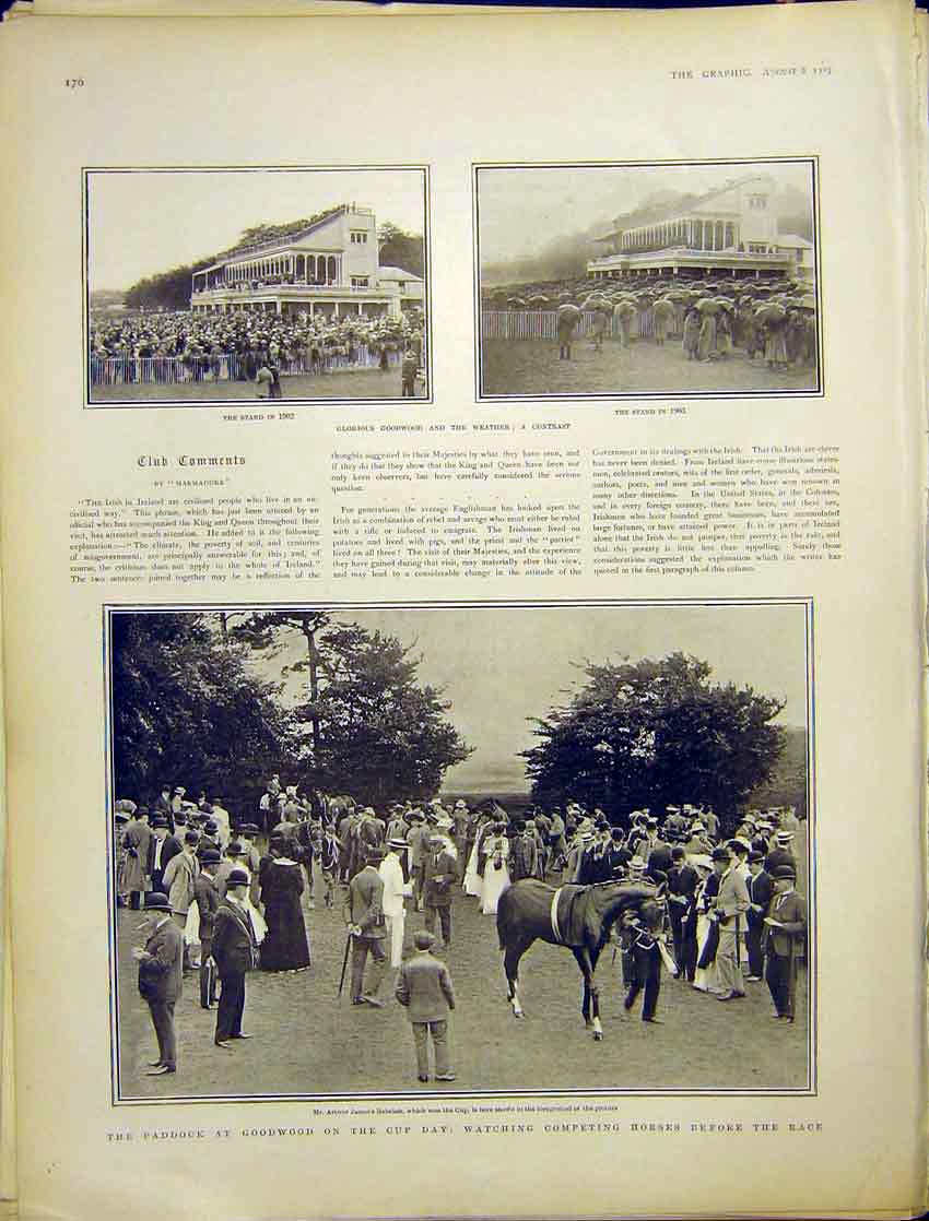 Original Old Antique Print Goodwood Races Cup Horses Stand Course Rabelais 1903