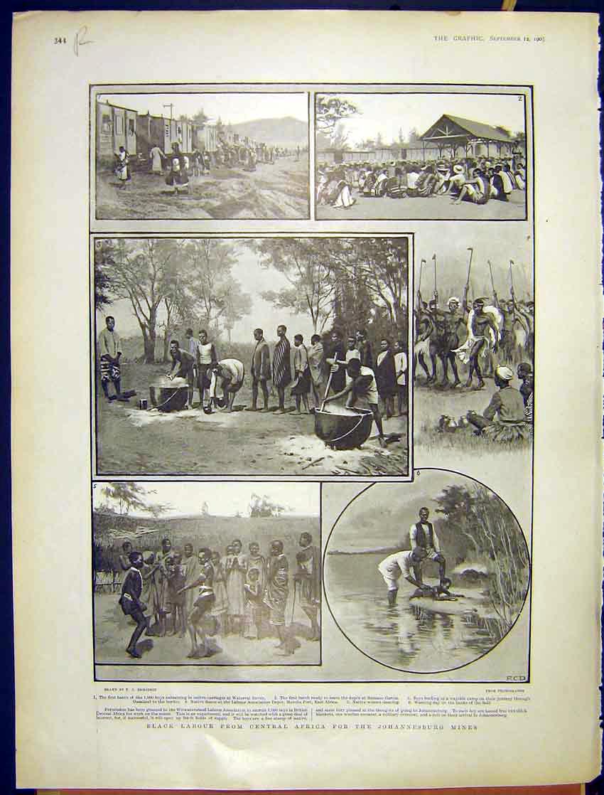 Old Antique Print Blacklabour Johannesburg Mines Hunting In Vienna 1903 20th