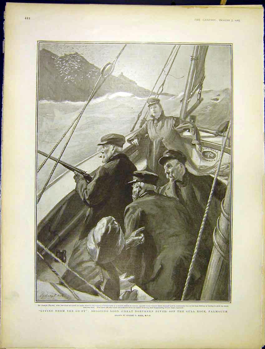 Original Old Antique Print Shooting Loon Gull Rock Falmouth Sketch Hall 1903