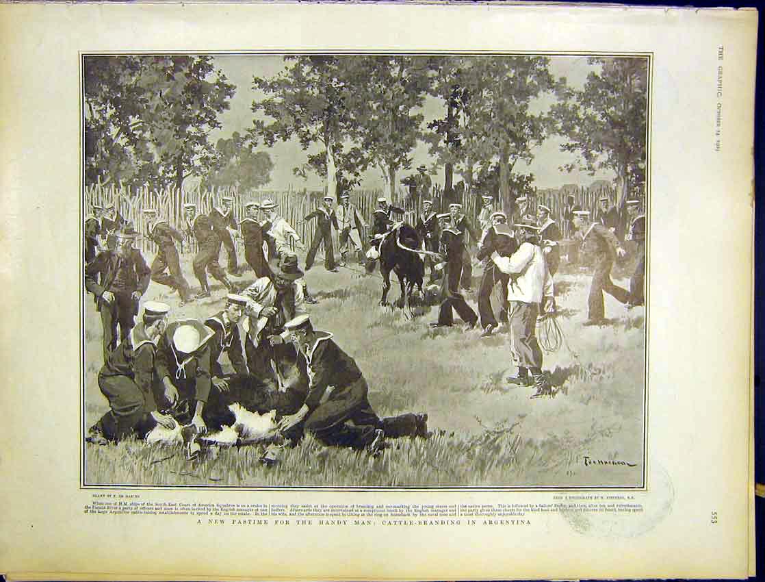 Original Old Antique Print Navy Cattle Branding Argentina Sketch Haenen 1903