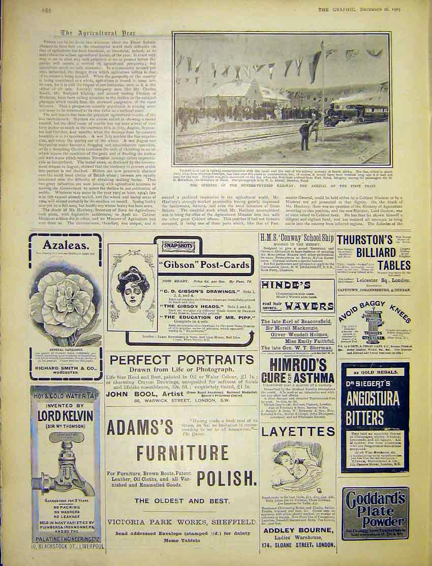 Original Old Antique Print Dundee-Vryheid Railway Train Africa Advert 1903 20th