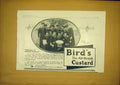Original Old Antique Print Advert Bird'S Custard Powder Navy Sailors 1911 20th