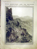Original Old Antique Print Mules Manoeuvres Guns Maritime Alps French 1912 20th