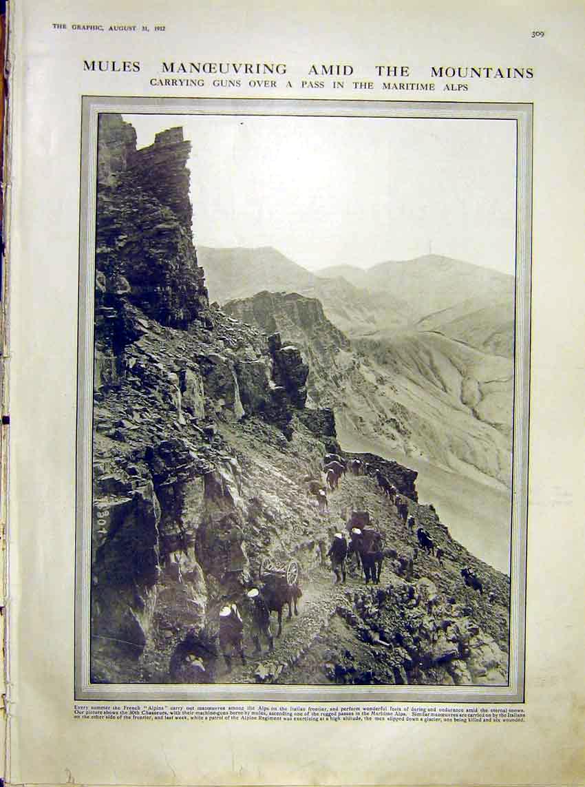 Original Old Antique Print Mules Manoeuvres Guns Maritime Alps French 1912 20th