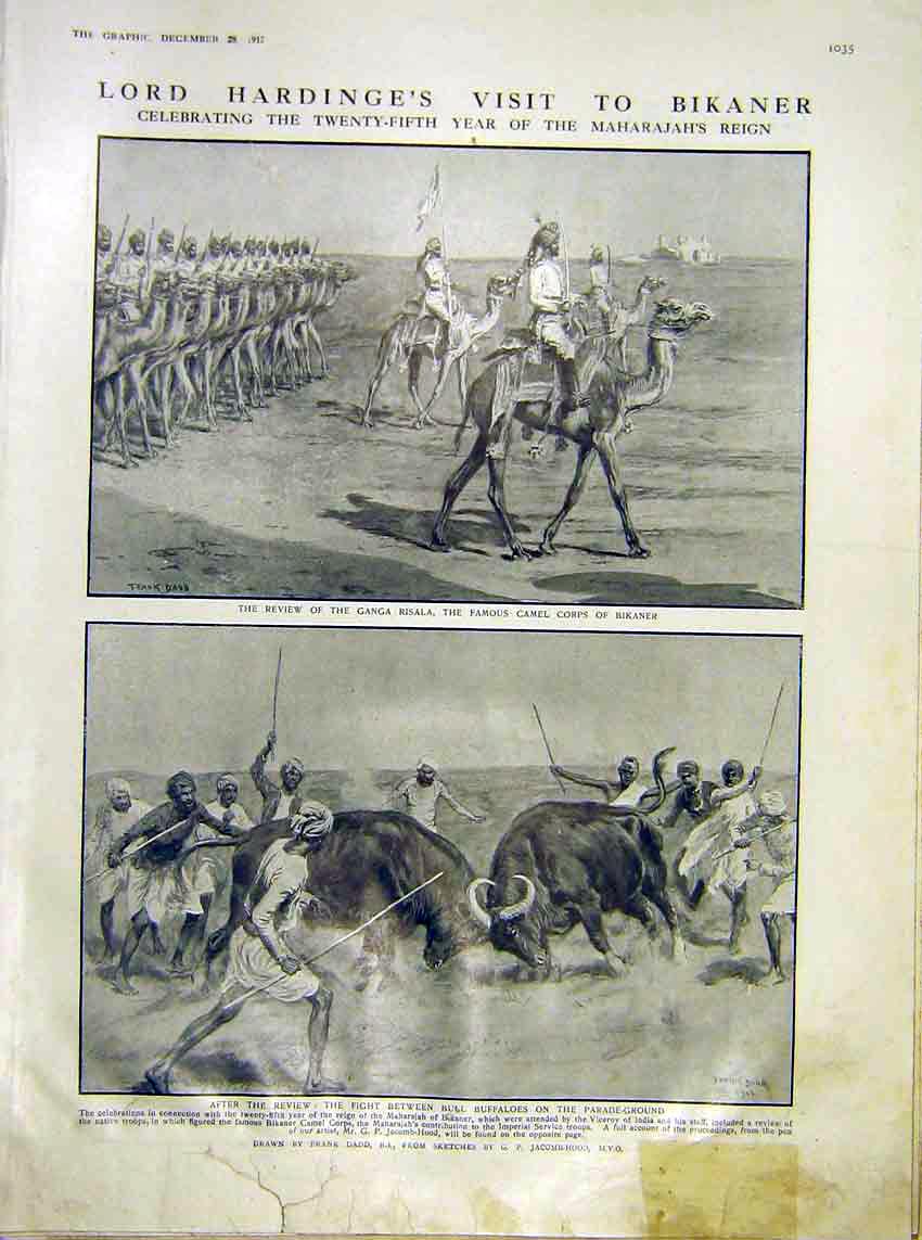 Original Old Antique Print Hardinge Bikaner Maharajah Ganga Risala Camel Buffalo