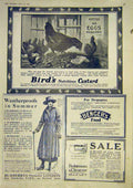 Original Old Vintage Print Bird'S Custard Powder Advert Burberrys Coat 1917 20th