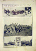 Original Old Vintage Print Portugese Army Mule Transport Warfare Tamagnini 1917
