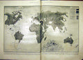 Original Old Vintage Print Map World Allied Forces Hospital Queen Memorial 1917