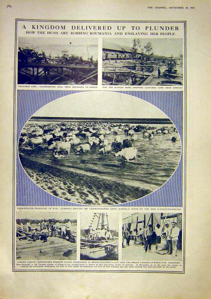 Original Old Antique Print Roumania Oxen Germans Prisoners Ship-Building U-Boat