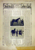 Old Vintage Print British Horse Breeding Hunter Mare Russia General 1917 20th