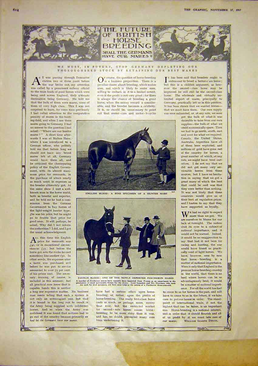 Old Vintage Print British Horse Breeding Hunter Mare Russia General 1917 20th