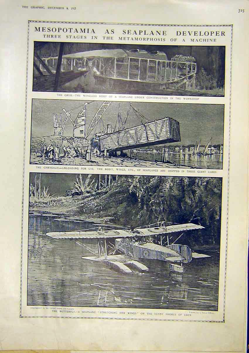 Original Old Vintage Print Mesopotamia Seaplane Machine Chrysalis Butterfly 1917
