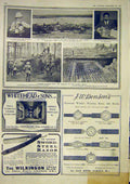 Old Antique Print Portrait Allenby Nova Scotia Costa Cambrai Germans War