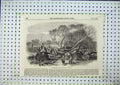 Original Old Antique Print 1856 Elm Tree Blown Down Hyde Park High Winds 19th