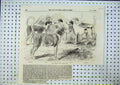 Original Old Antique Print Royal Staghounds Dog Dogs Woodman Chanticleer 1856