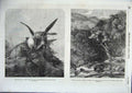Old Antique Print Gerfalcon Striking Kite Wolf Glen Tilt Bennett 1856 Art 19th