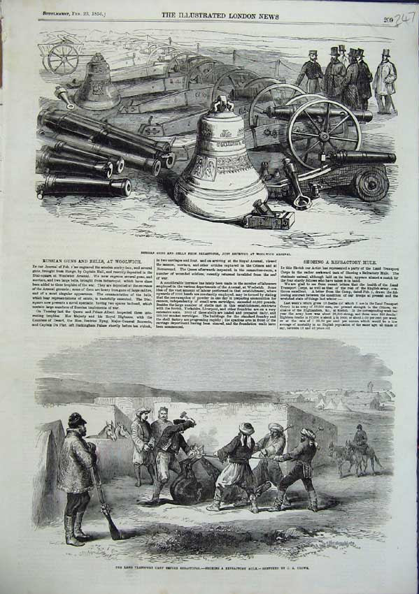Old Antique Print Russian Guns Bells Woolwich Arsenal Shoeing Mule 1856 19th