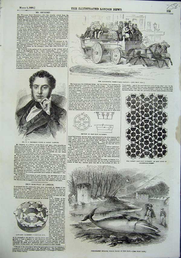 Original Old Antique Print Manchester Three Horse Omnibus Broderip Whale 1856