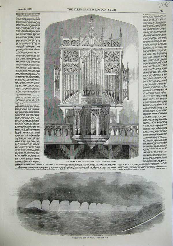 Original Old Antique Print New Organ Sherbourne Dorset 1856 Waterspouts Malta