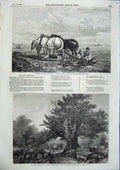 Old Antique Print Mid Day Meal Willis Art Country Churchyard S Read 1856 19th
