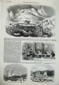 Antique Print *0171 Mining Greenland Icebergs Archuus Lost Men In Hut 1856