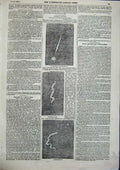 Old Antique Print Emperor Crimea Troops Place De La Bastille Paris 1856 19th