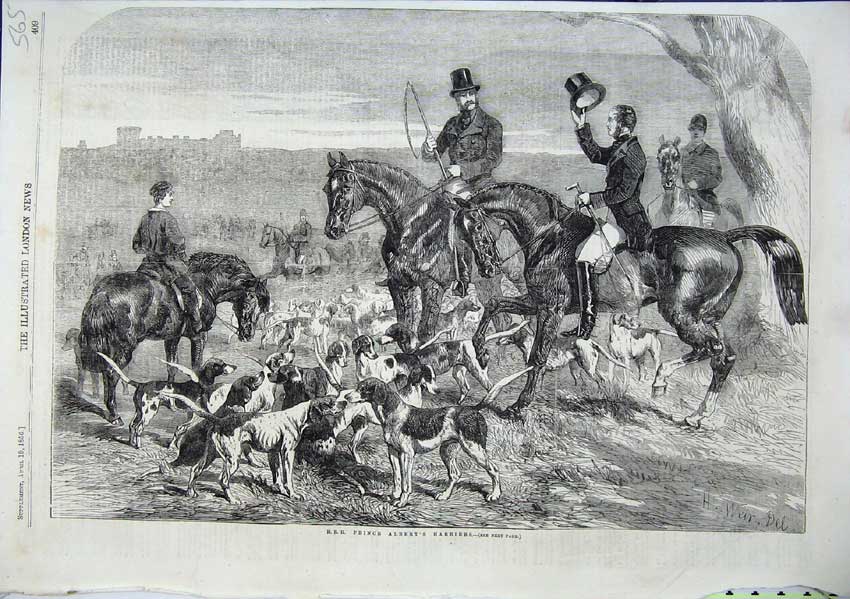 Old Antique Print H.R.H Prince Albert Harriers Bloodhounds Hunting 1856 19th