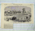 Original Old Antique Print 1855 Indian Railway Burdwan Station Train Elephants