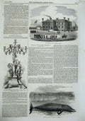Old Antique Print 1855 Whale Cumberland Artillery Barracks Ipswich Howden 19th