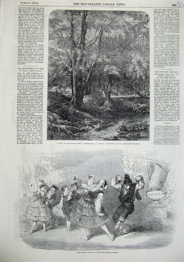 Old Antique Print Spanish Dancers Haymarket Theatre 1855 Fallow Deer Art 19th