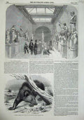 Old Antique Print 1855 Circassian Bear Greco-Roman Saloon British Museum 19th