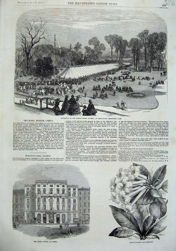 Old Antique Print 1855 Gore-House Kensington Hotel Munsch Vienna Flower 19th