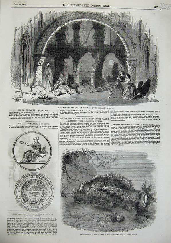 Original Old Antique Print 1855 Haymarket Theatre Berta Sea-Cucumber War Medal