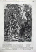 Old Antique Print Fine Art 1855 Belted Will'S Tower Naworth Trees Bennett 19th