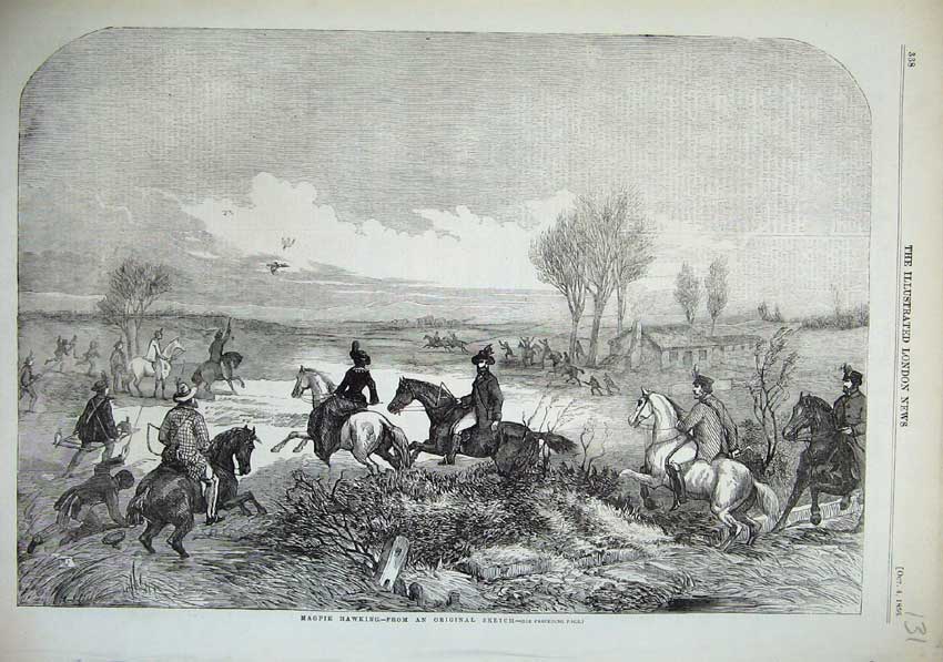 Original Old Antique Print 1856 Magpie Hawking Men Women Horses Hunting Country