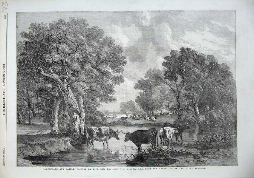Original Old Antique Print 1856 Landscape Cattle River Trees Country Cooper