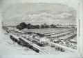 Old Antique Print 1856 Agricultural Show Chelmsford Train Railway People 19th