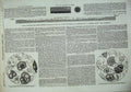 Old Antique Print 1856 Infusoria Submarine Telegraph Steamer Ship Arctic 19th