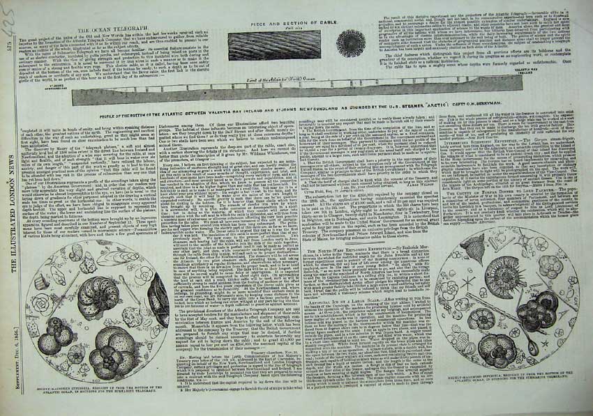 Old Antique Print 1856 Infusoria Submarine Telegraph Steamer Ship Arctic 19th