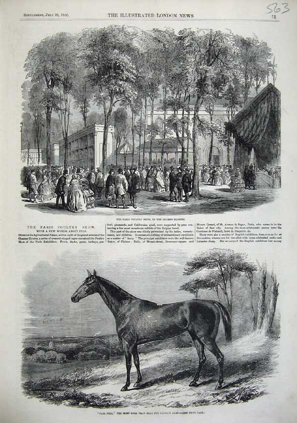Old Antique Print Paris Poultry Show Champs Elysees 1856 Fair Nell Horse 19th