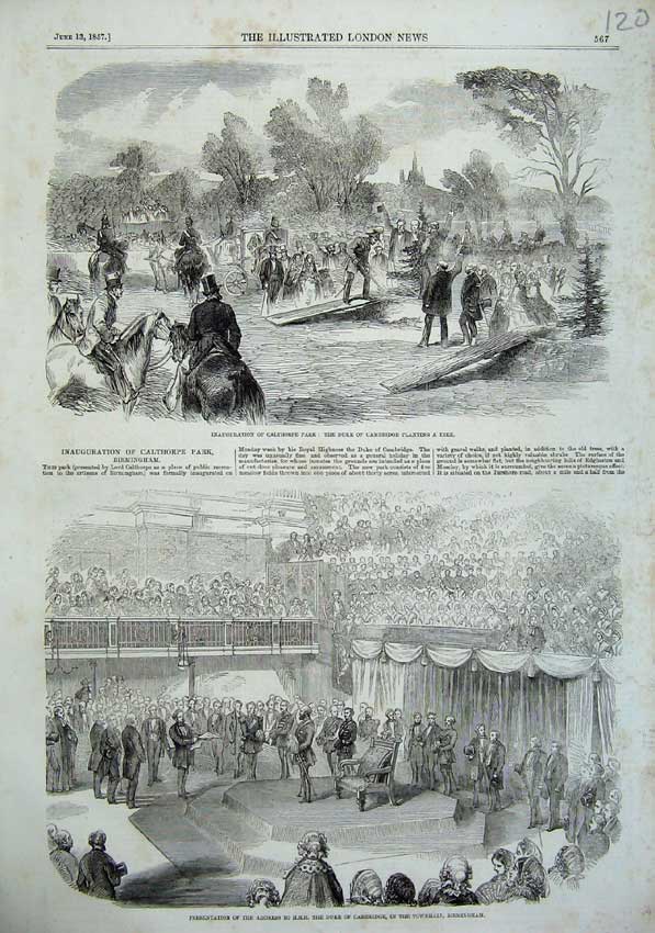 Original Old Antique Print Calthorpe Park Tree 1857 Duke Cambridge Birmingham