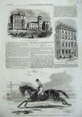 Original Old Antique Print 1857 Zetland Vedette Horse Newmarket School Kilburn