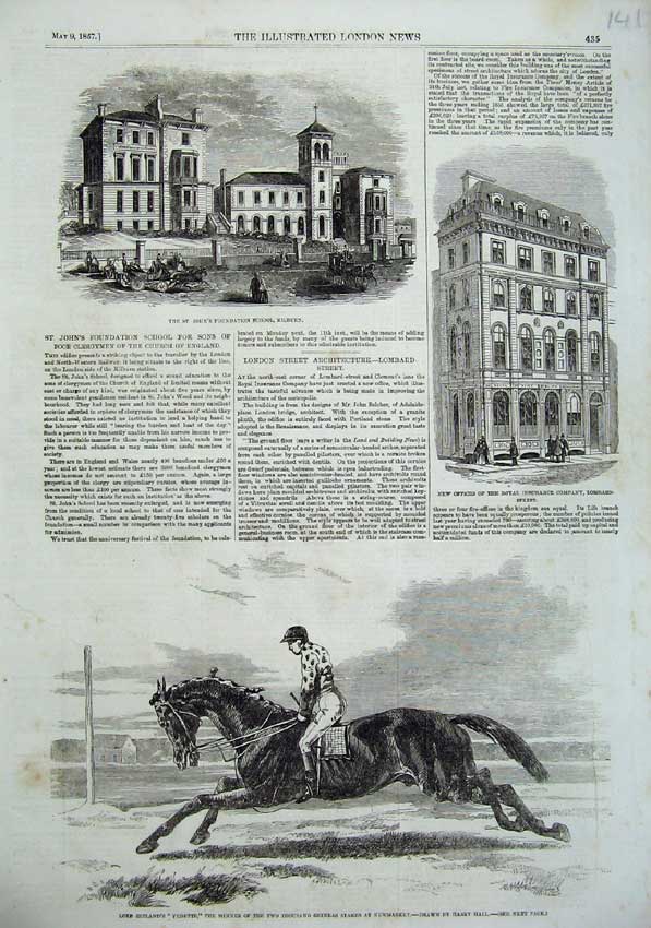 Original Old Antique Print 1857 Zetland Vedette Horse Newmarket School Kilburn