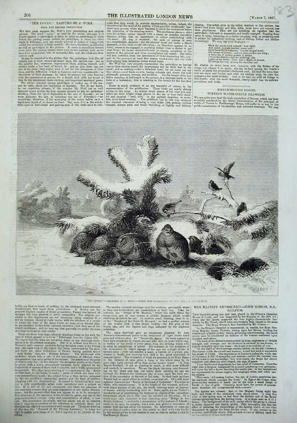 Original Old Antique Print 1857 Covey Partridges Birds Snow Winter Wolf 19th