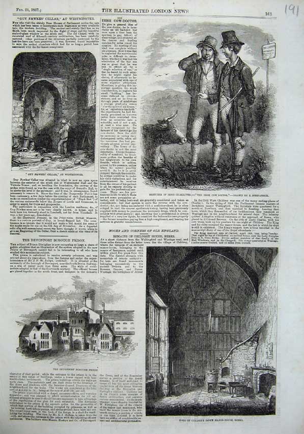 Old Antique Print Irish Cow Doctor1856 Childrey Prison Westminster Fawkes 19th