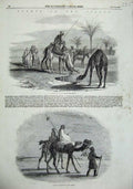 Original Old Antique Print 1857 Desert Camels Village Oasis Men Palm Trees 19th